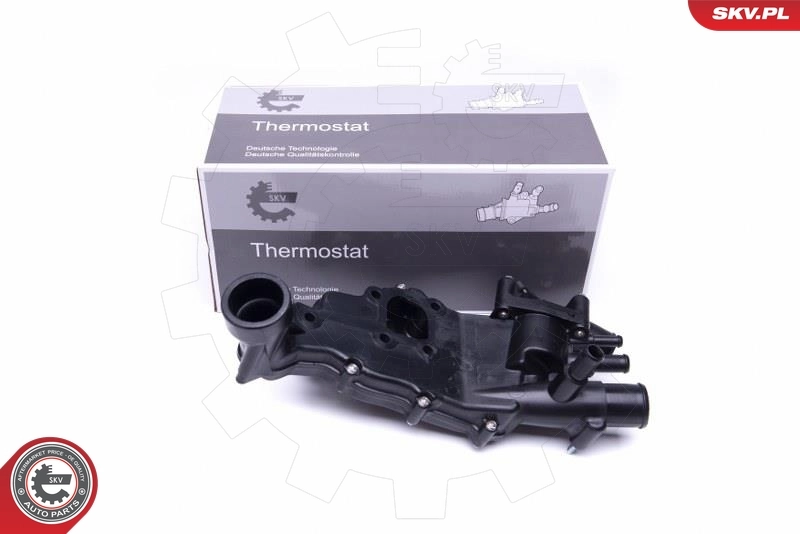 Thermostat, coolant